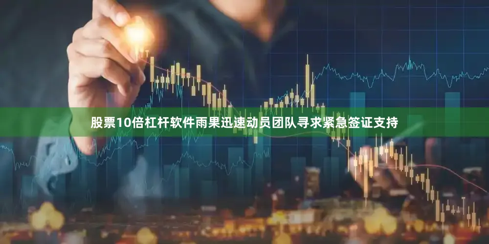 股票10倍杠杆软件雨果迅速动员团队寻求紧急签证支持