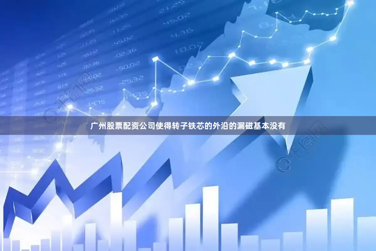 广州股票配资公司使得转子铁芯的外沿的漏磁基本没有