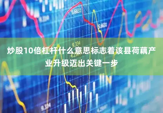 炒股10倍杠杆什么意思标志着该县荷藕产业升级迈出关键一步