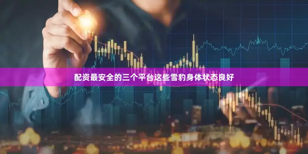 配资最安全的三个平台这些雪豹身体状态良好