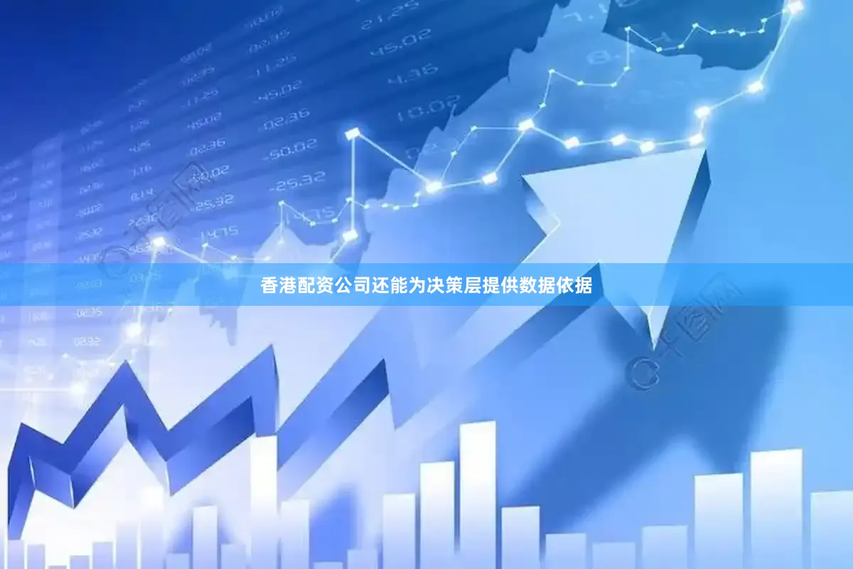 香港配资公司还能为决策层提供数据依据