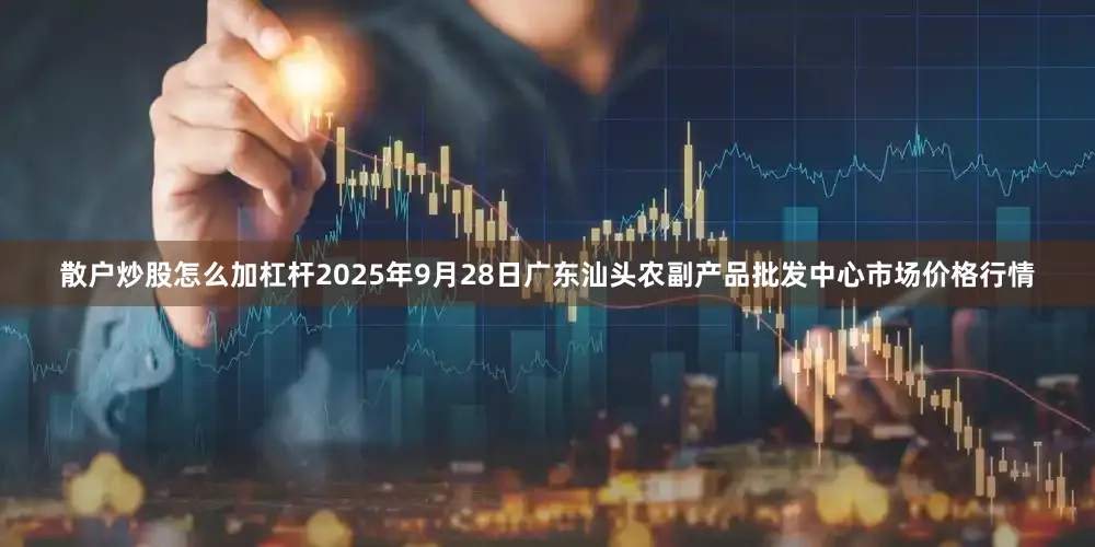 散户炒股怎么加杠杆2025年9月28日广东汕头农副产品批发中心市场价格行情