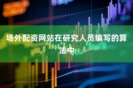 场外配资网站在研究人员编写的算法中
